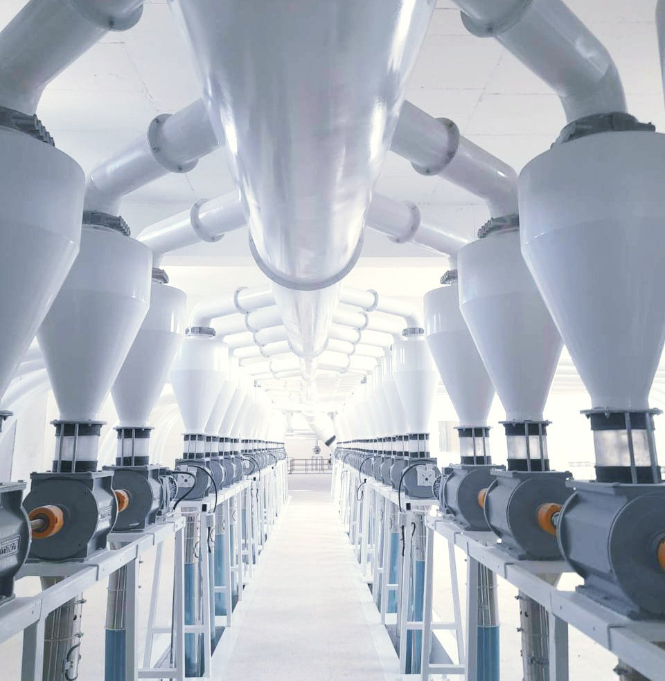  Weizenverarbeitungskapazität von 500 Tonnen/Tag. Mühlensystem in Mühlensystemen auf einem mehrstöckigen Gebäude im Irak.